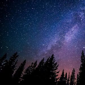 Meet your Posher, Princess